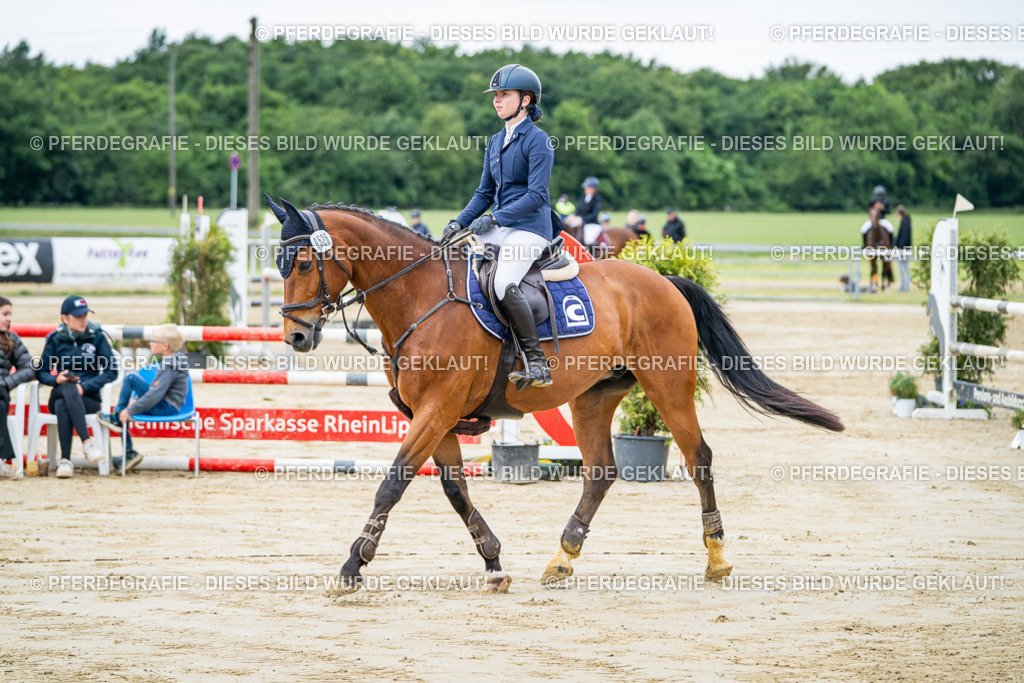 DSC04071 | Pferdegrafie