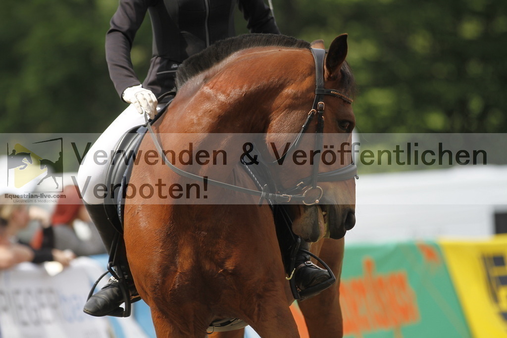 _MG_4616 | equestrian-live-com