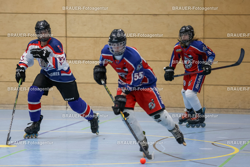 Bockumer Bulldogs Jugend - Monheim Skunks Jugend | 



05.11.1012 Bockumer Bulldogs Jugend - Monheim Skunks Jugend

(Foto von Michael Adler)

