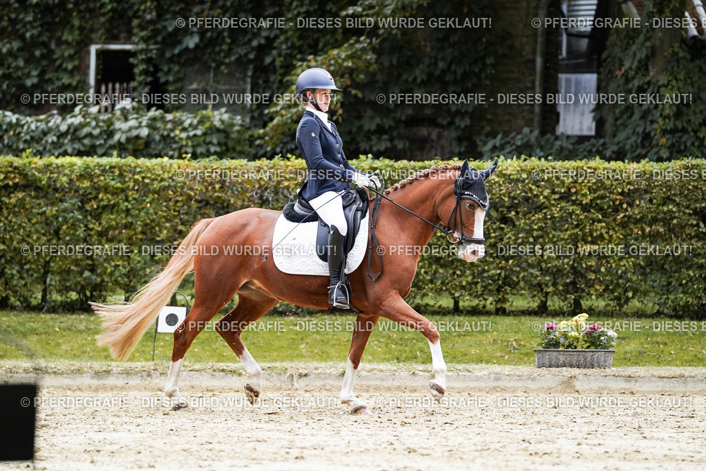 DSC07934 | Pferdegrafie