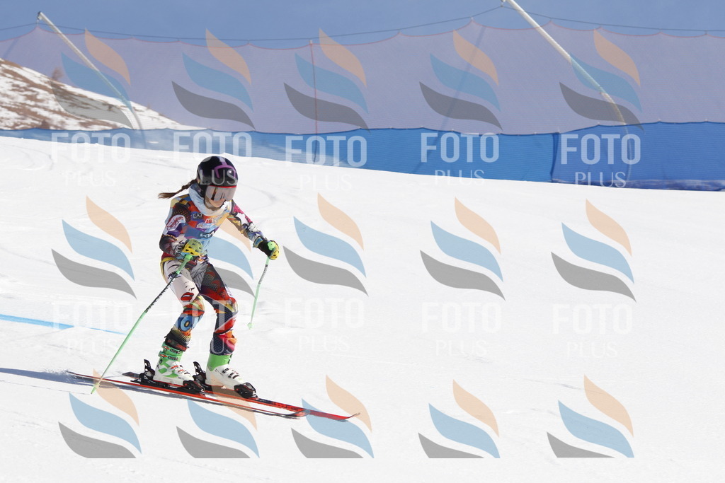 _U3G8786 | holidayphoto