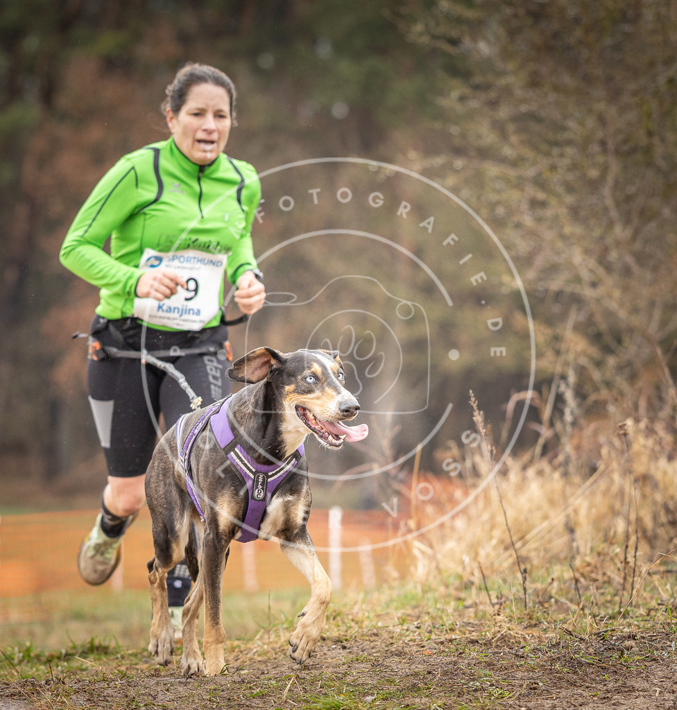 DV3A0324 | Hundefotografie, Tierfotograf, Pfotenfotografie, Fotoshooting Hund, Hunde Portrait, Hundesport, Hundeportraits, Heideshooting, Hunde, Sportfotograf, Hundefotograf, Turnierhundsport, THS,  - Realisiert mit Pictrs.com