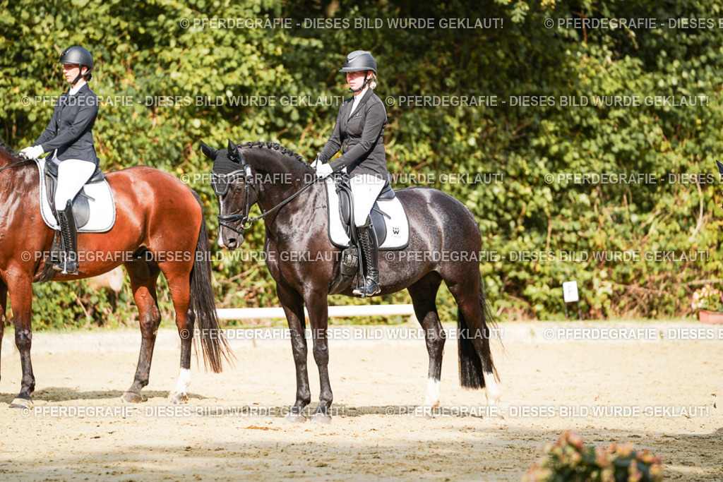 DSC02478 | Pferdegrafie