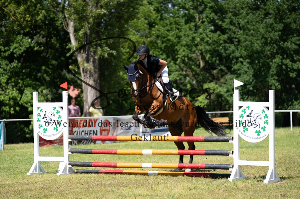 A7V05707 | Pferdefotograf