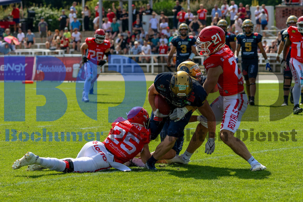 GFL: Potsdam Royals vs. Dresden Monarchs{date} -  | {headline}(Foto: Thomas Sobotzki / BOND) - Realisiert mit Pictrs.com