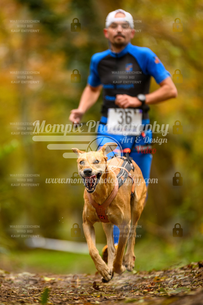 MompixPhotography_Bischwiller24_SA_Canicross-16 | PayLife