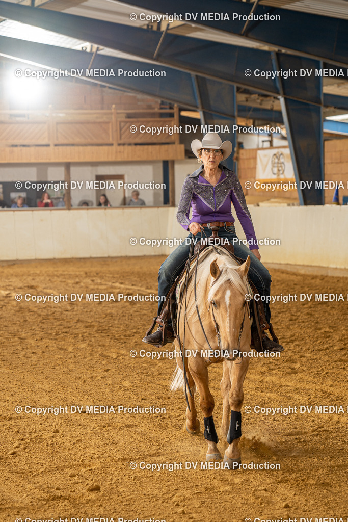 MIT01363 | dv-media-shop - Realisiert mit Pictrs.com