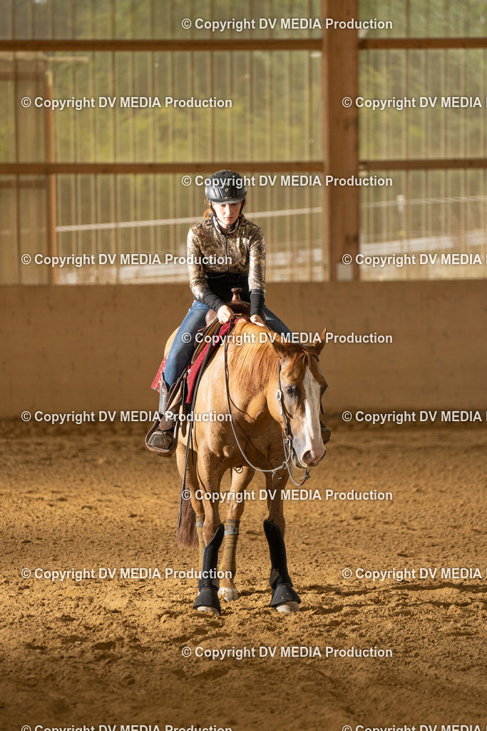 LAU01802 | dv-media-shop - Realisiert mit Pictrs.com