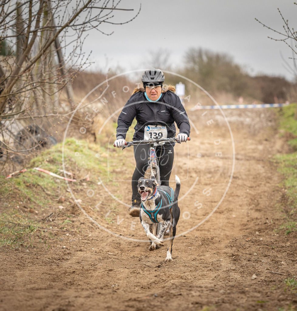 DV3A1390 | Hundefotografie, Tierfotograf, Pfotenfotografie, Fotoshooting Hund, Hunde Portrait, Hundesport, Hundeportraits, Heideshooting, Hunde, Sportfotograf, Hundefotograf, Turnierhundsport, THS,  - Realisiert mit Pictrs.com