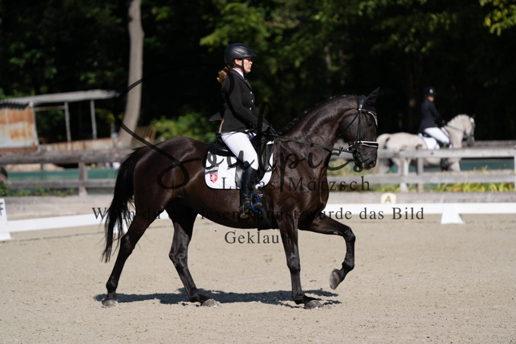 A7V07001 | Pferdefotograf