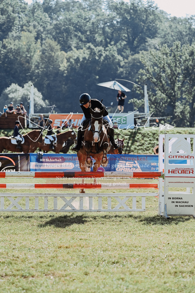 DSC_5405 | Pferde- und Turnierfotografie in Westsachsen. Pferdeportraits, Auftragszeichnungen und intuitive Kunst.