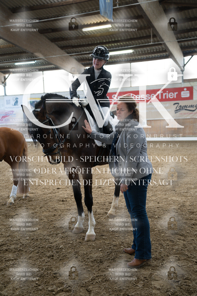 CK703051 | Turnierfotografie Pferdefotografie Trier Rheinland-Pfalz Pferdesport Reitsport Tierfotografie Sportfotografie Pferdevideo Pferdevideografie Equestrianvideography equestrianphotography  - Realized with Pictrs.com