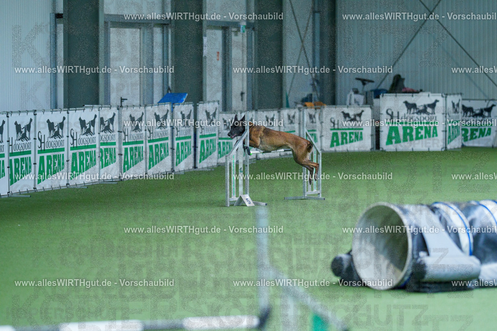 @allesWIRTHgut_Tierfotografie - www.allesWIRTHgut.de - 2604261404-7R503360 | Professionelle Tierfotografie in Mönchengladbach von Daniel Wirth (allesWIRTHgut). Liebevolle & natürliche Bilder von Hunden & Katzen für unvergessliche Erinnerungen.