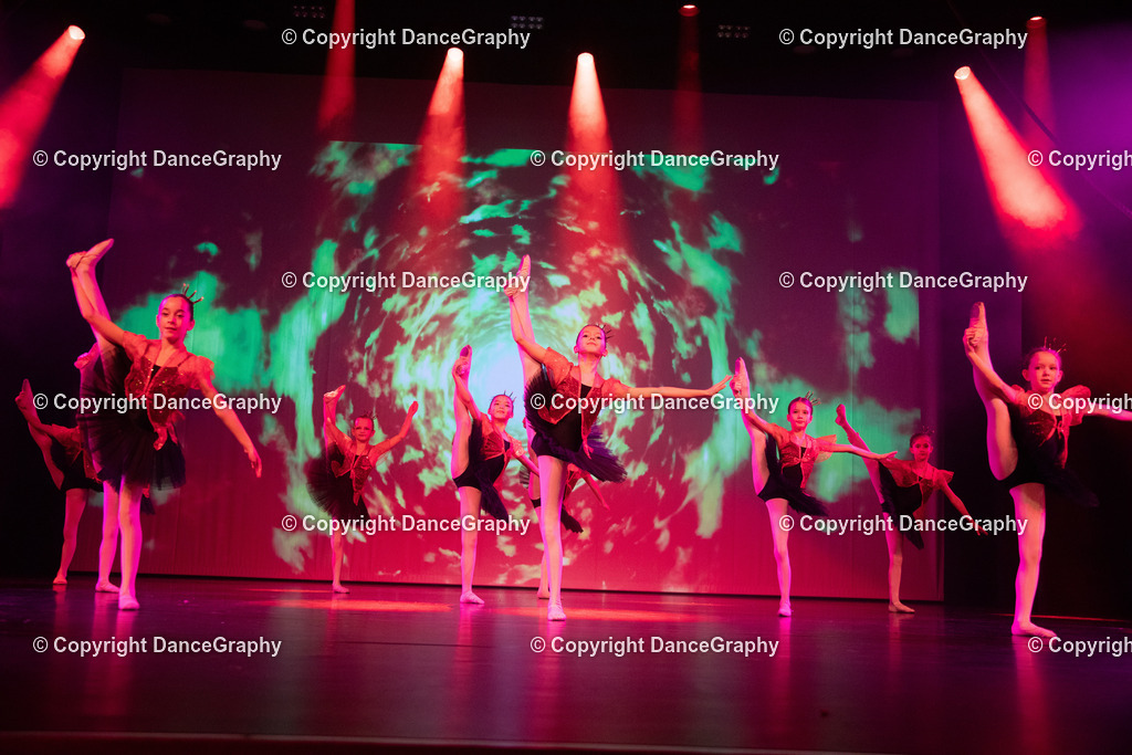 GPHY3249 | DanceGraphy - Realisiert mit Pictrs.com