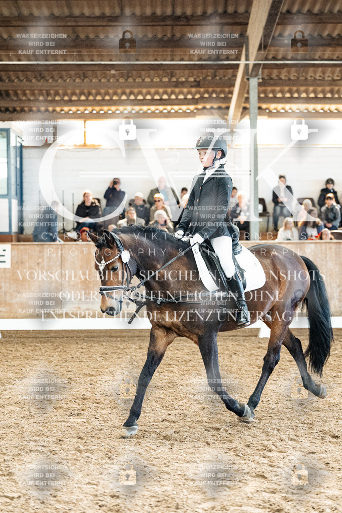 CK909972 | Turnierfotografie Pferdefotografie Trier Rheinland-Pfalz Pferdesport Reitsport Tierfotografie Sportfotografie Pferdevideo Pferdevideografie Equestrianvideography equestrianphotography  - Realized with Pictrs.com