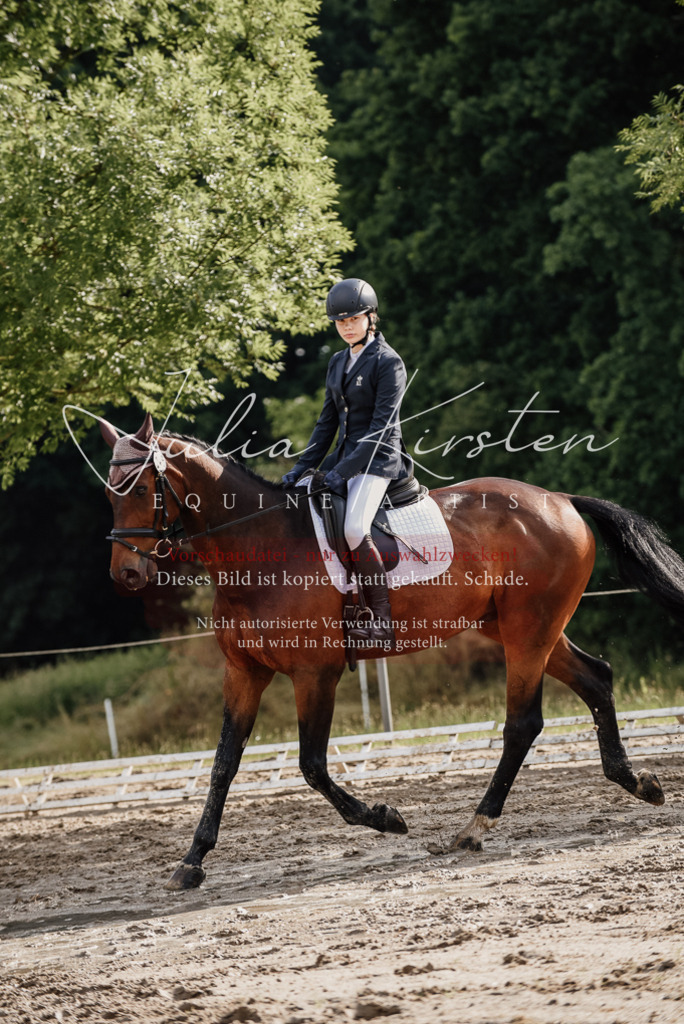 DSC_8628 | Pferde- und Turnierfotografie in Westsachsen. Pferdeportraits, Auftragszeichnungen und intuitive Kunst.