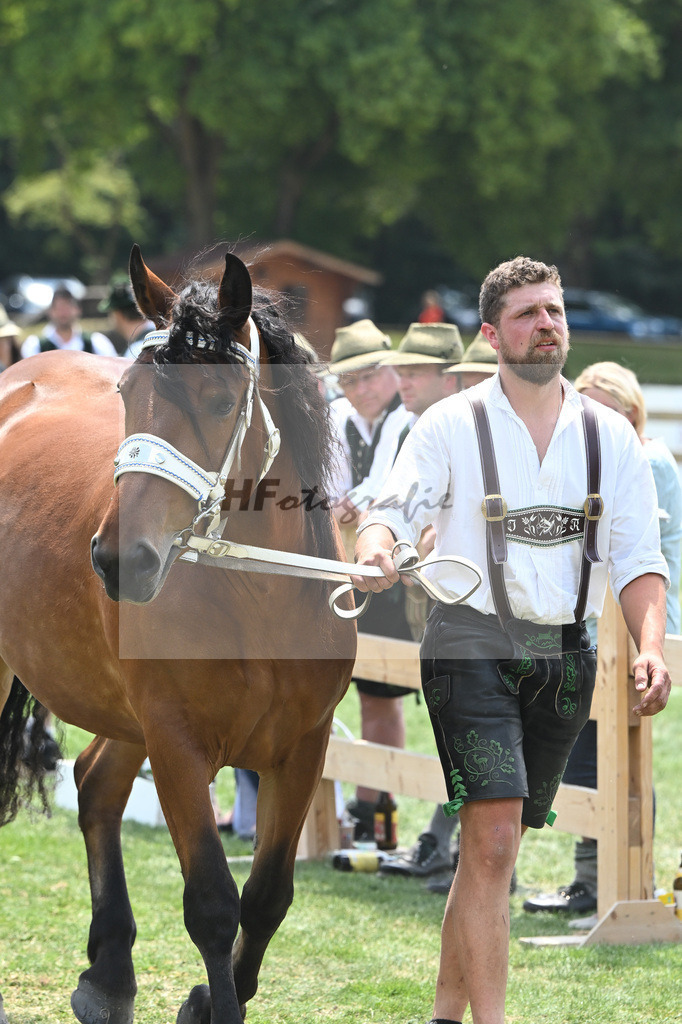 Kat-Nr. 45 Hailey_Radel_20230695 | hf-fotografie - Realisiert mit Pictrs.com
