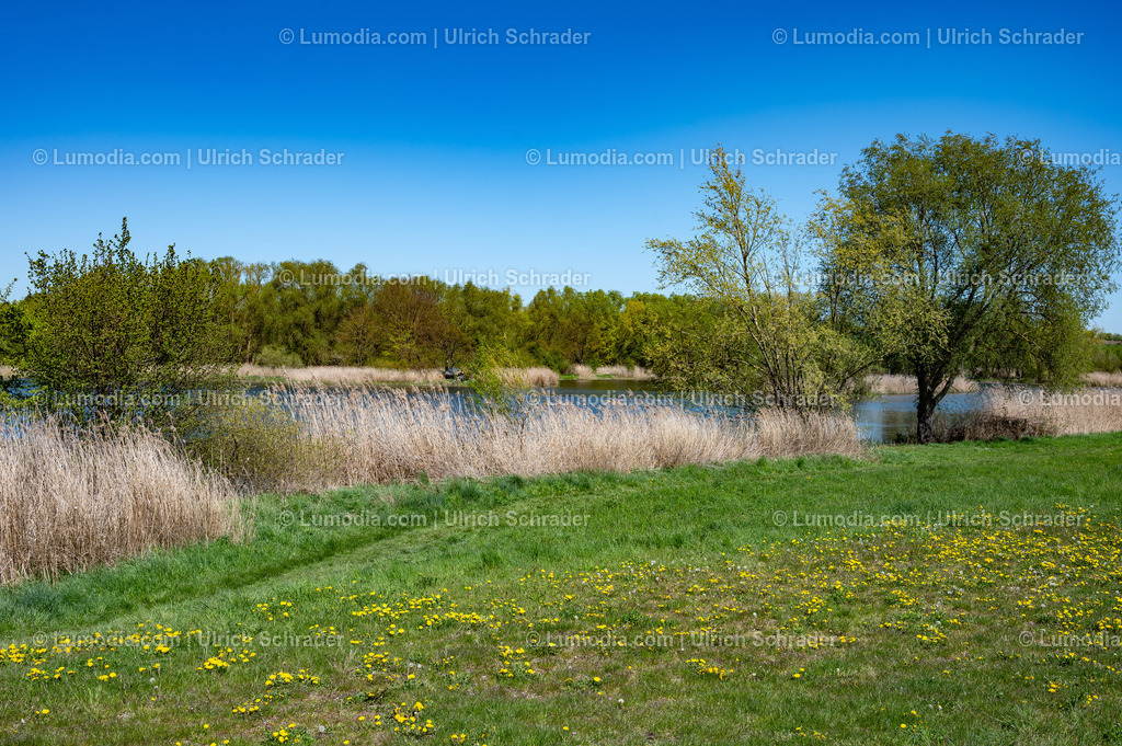 10049-14020 - Opfermoor in Niederdorla | Stockfoto und Bilderpool mit Bildmaterial aus Deutschland, dem Harz, Halberstadt, Quedlinburg, Wernigerode und weltweit. Qualitativ hochwertige und professionelle Fotos anschauen und kaufen. - Realisiert mit Pictrs.com