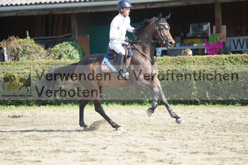 DSC02979 | equestrian-live-com