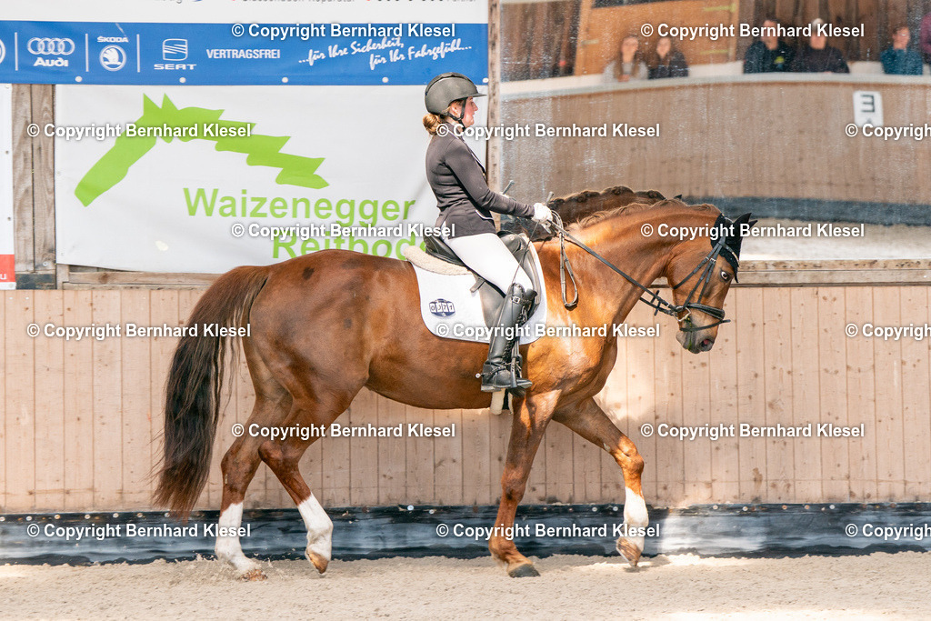 2A901718 | foto-team-bernhard - Realisiert mit Pictrs.com