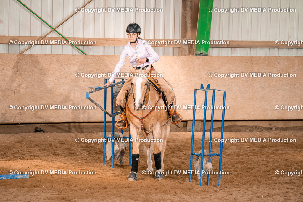 BA400836 | dv-media-shop - Realisiert mit Pictrs.com