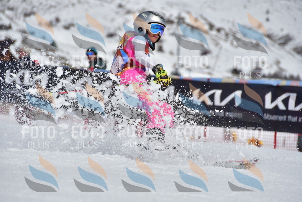 _DSC6805 | holidayphoto