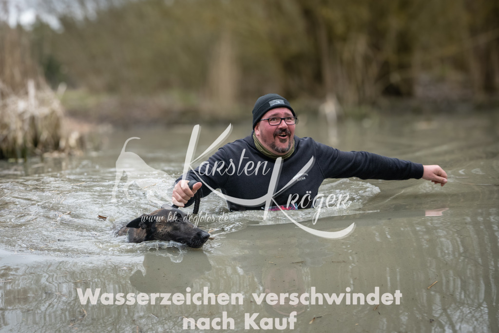 1100_ZZ94571 | kk-dogfotos