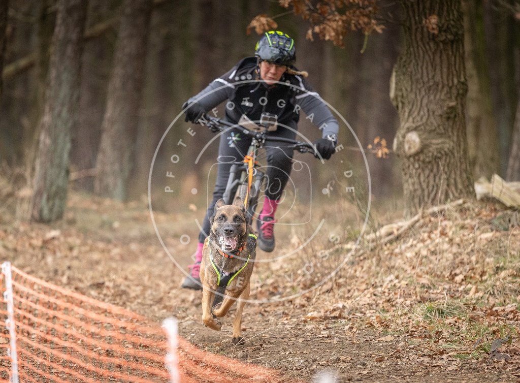 Pfotenfotografie_DV3A1779 | Hundefotografie, Tierfotograf, Pfotenfotografie, Fotoshooting Hund, Hunde Portrait, Hundesport, Hundeportraits, Heideshooting, Hunde, Sportfotograf, Hundefotograf, Turnierhundsport, THS,  - Realisiert mit Pictrs.com