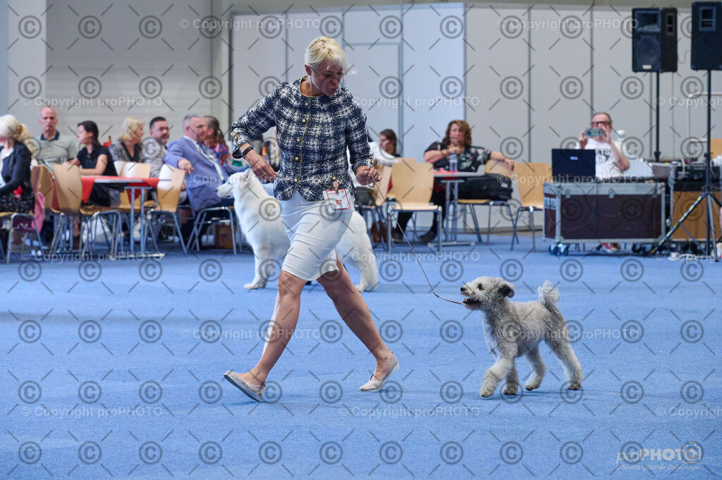 202406_ÖKV-IHA-Tulln24_DSC_4943 | proPHOTO - Realisiert mit Pictrs.com