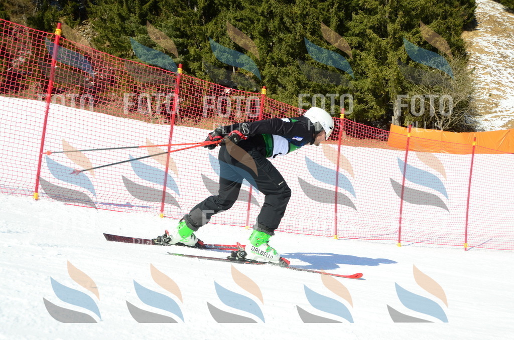 C6635 | holidayphoto