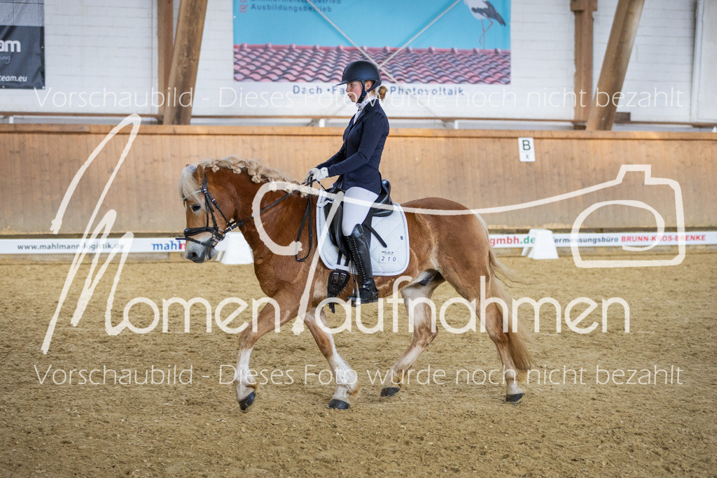 Sth-LPO25-L-Kür-071 | MomenTaufnahmen Pferdesportfotos