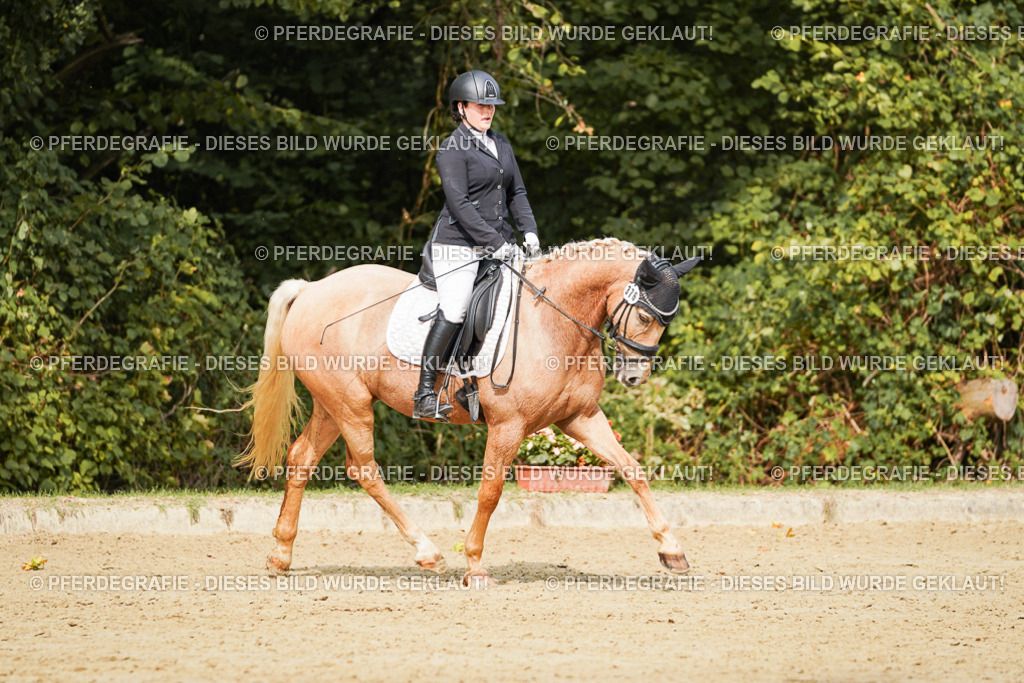 DSC03055 | Pferdegrafie