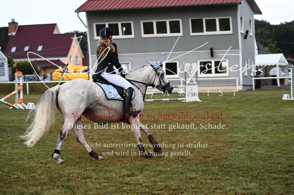 DSC_5523 | Pferde- und Turnierfotografie in Westsachsen. Pferdeportraits, Auftragszeichnungen und intuitive Kunst.