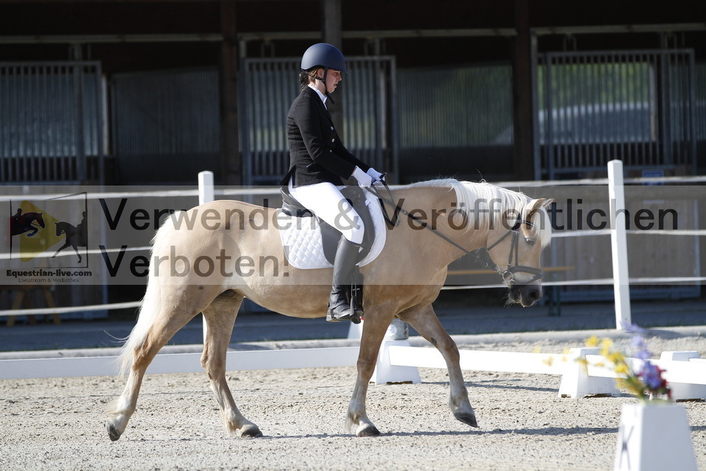 _MG_7865 | equestrian-live-com
