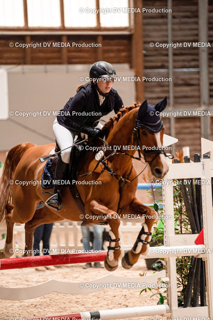 Springen Tag 2-006 | dv-media-shop - Realisiert mit Pictrs.com