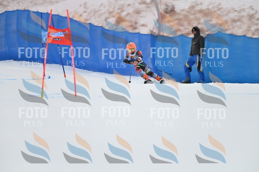 BGV_9296 | holidayphoto