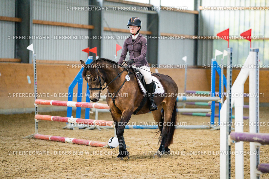 DSC00563 | Pferdegrafie