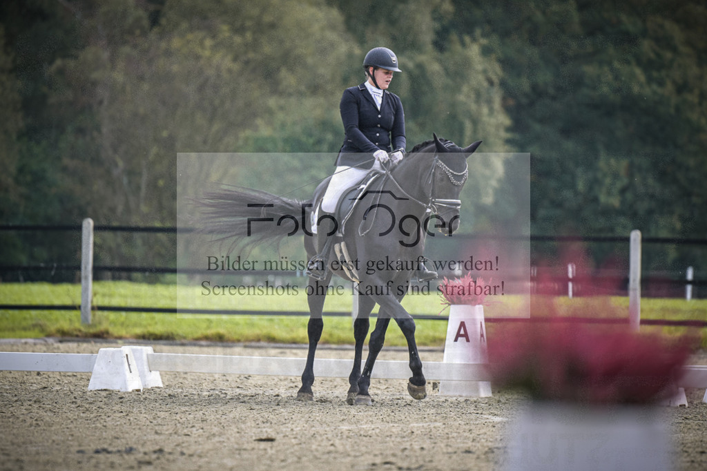 DOS_B506 | Entdecke hochwertige Reitturnierfotos von Foto Oger. Professionell, emotional und authentisch – jetzt Lieblingsmomente im Shop bestellen.Deutschlandweite Turnierfotografie. - Realisiert mit Pictrs.com