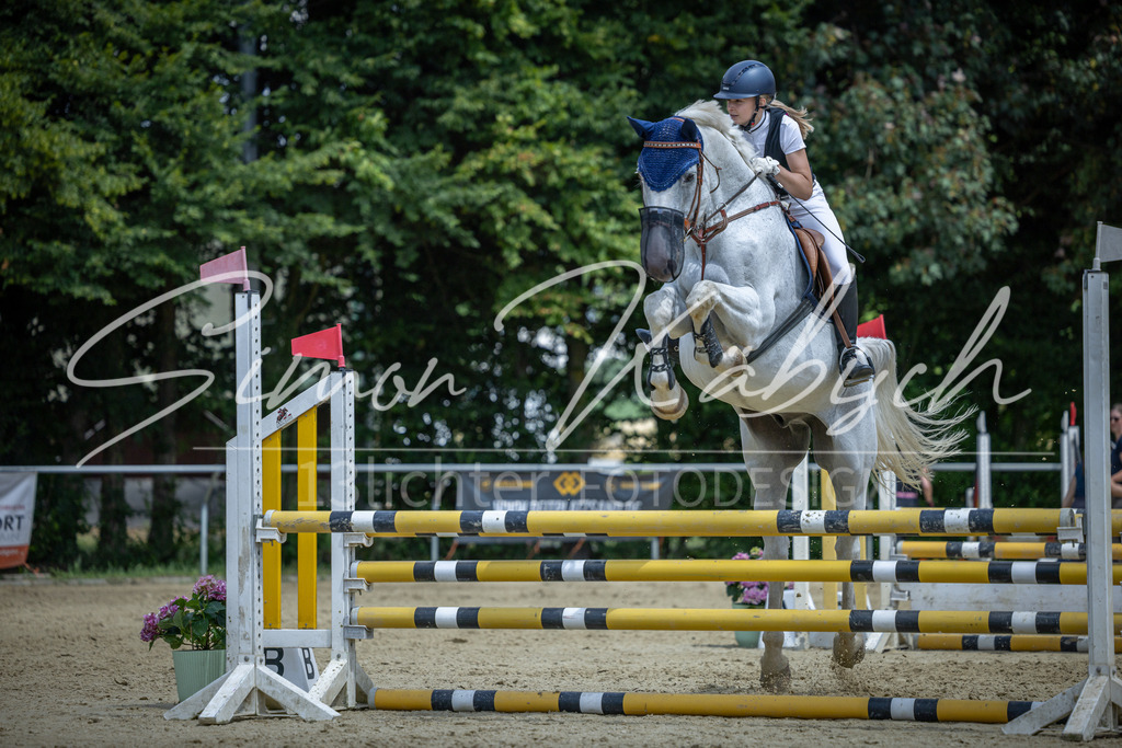 20260704-_3LI0050 | Tierfotografie Pferde, Hunde, Katzen, Haustiere.
Turnierfotografie Reitturniere, Reiten, Springreiten, Dressur in Hanau, dem Main-Kinzig-Kreis und dem Rhein-Main- Gebiet um Frankfurt