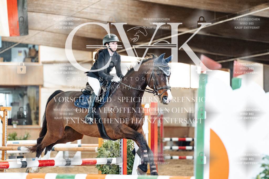 CK905204 | Turnierfotografie Pferdefotografie Trier Rheinland-Pfalz Pferdesport Reitsport Tierfotografie Sportfotografie Pferdevideo Pferdevideografie Equestrianvideography equestrianphotography  - Realized with Pictrs.com