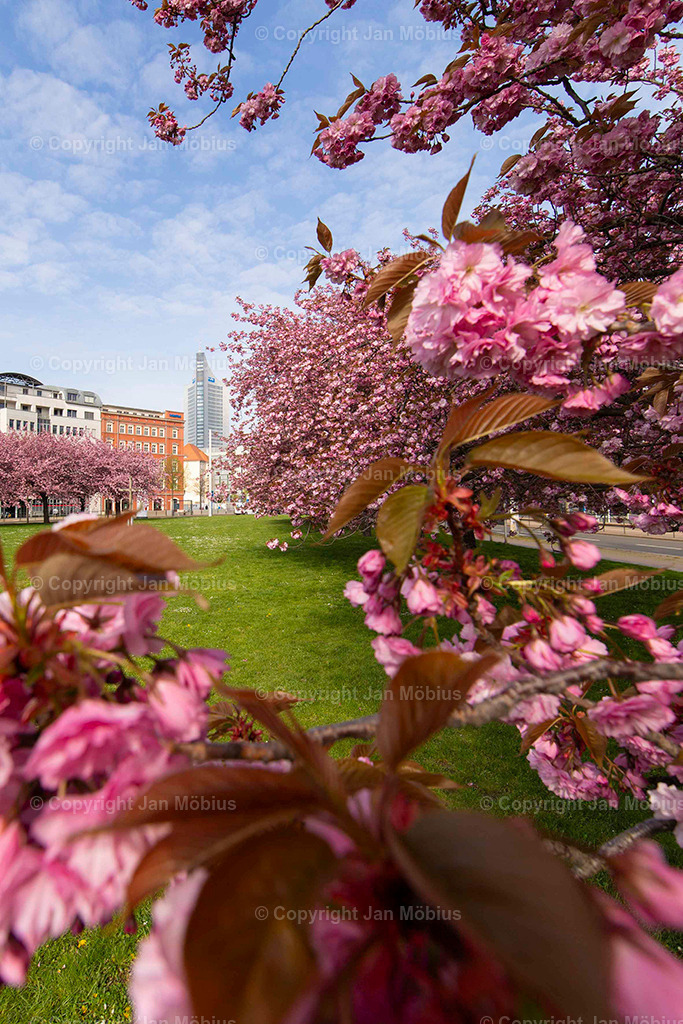 _M5D1868 | Leipzig Wandbilder Drucke Prints Leinwand Stadtmotive Leipzig Fotosdruck Kunstdrucke Bilder Leipzig Stadtansichten Acrylglasbilder Leipzig Wanddeko Fine Art Prints Wandbilder Büro Leipzig Bilder Praxis Zuhause Bilderdruck Poster Posterlounge Kunstdrucke - Realisiert mit Pictrs.com