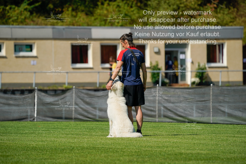 Samstag_Gehorsam (165 von 192) | stephaniefillaphotographie - Realisiert mit Pictrs.com