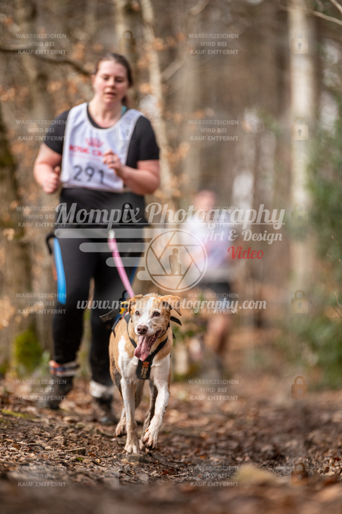 SPA_2023_DIM_CCK-123 | PayLife
