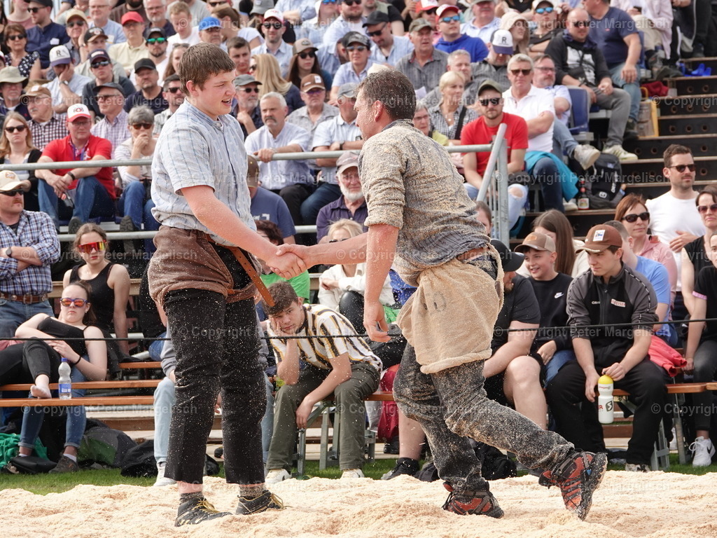 DSC06427 | Schwingen - Realisiert mit Pictrs.com