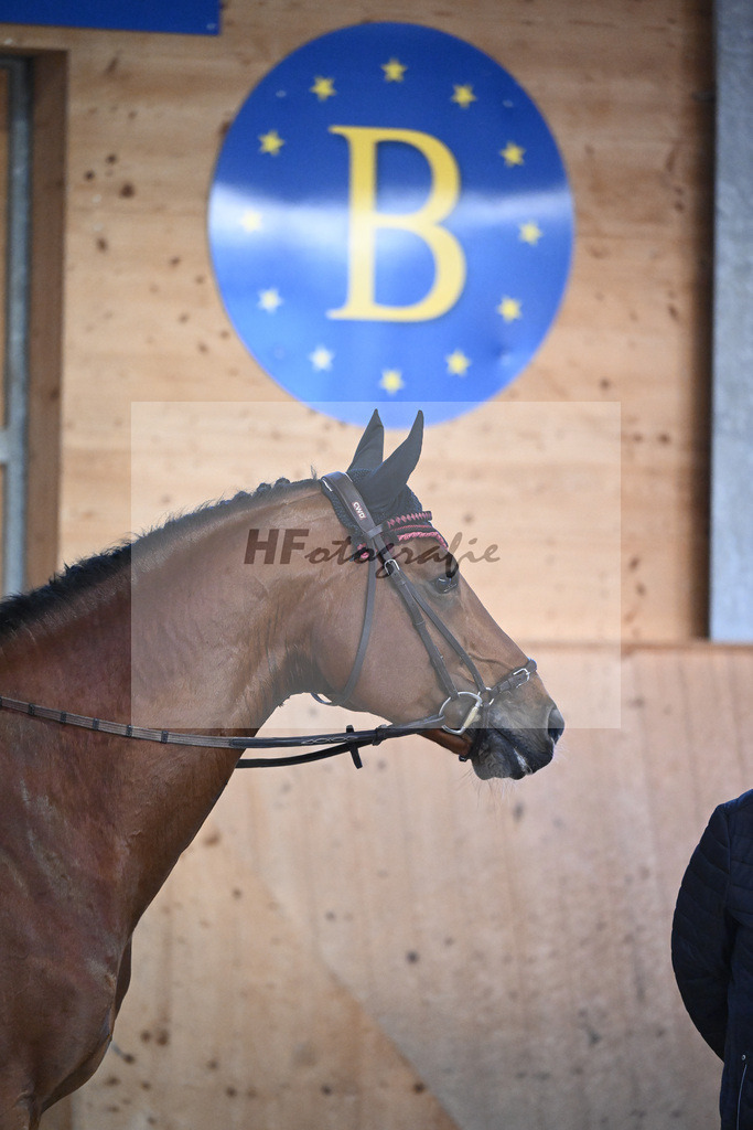 Chappeloup_7240834 | hf-fotografie - Realisiert mit Pictrs.com