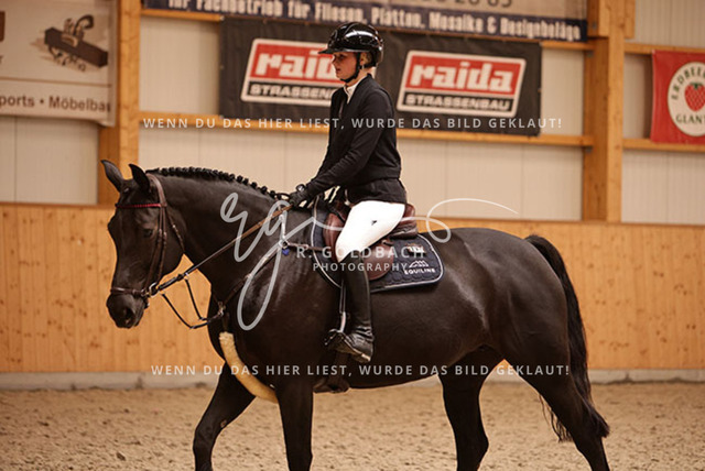 1J2A9131Mira Leinert_ Ilari R_ Kn291_ Glantz_ Hohen Wieschendorf | Foto- und Videografie für alles rund ums Pferd. Hochwertige Bilder und Videos vom Spring- und Dressurreiten, Voltigieren & mehr. Jetzt aktuelle Veranstaltungen und Preise im Shop ansehen. - Realisiert mit Pictrs.com