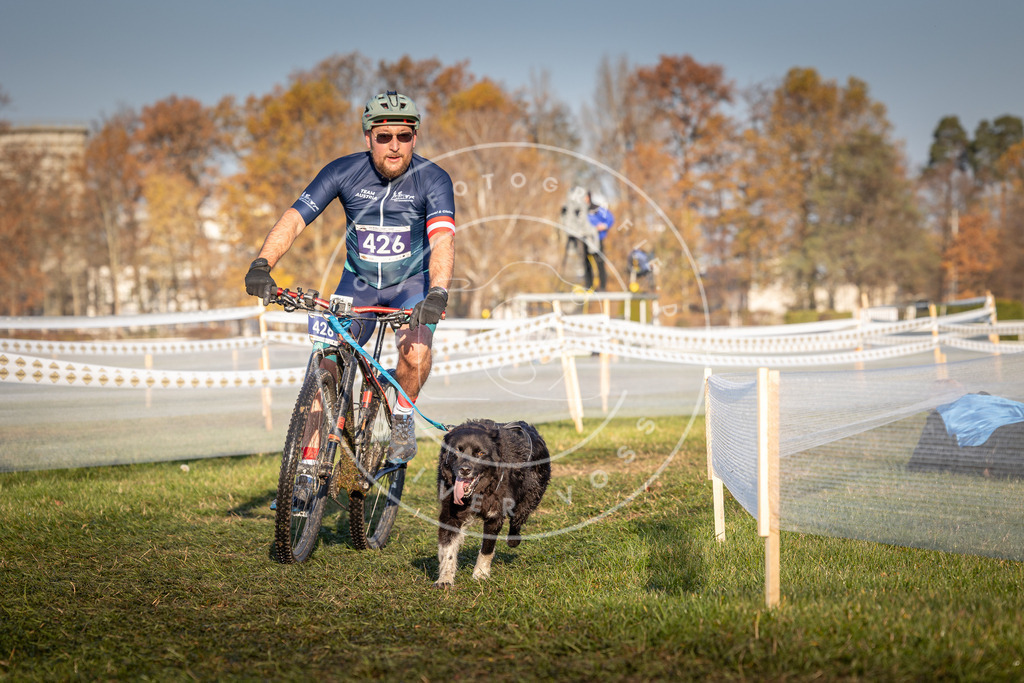CaniXpix_0L8A4222 | Hundefotografie, Tierfotograf, Pfotenfotografie, Fotoshooting Hund, Hunde Portrait, Hundesport, Hundeportraits, Heideshooting, Hunde, Sportfotograf, Hundefotograf, Turnierhundsport, THS,  - Realisiert mit Pictrs.com