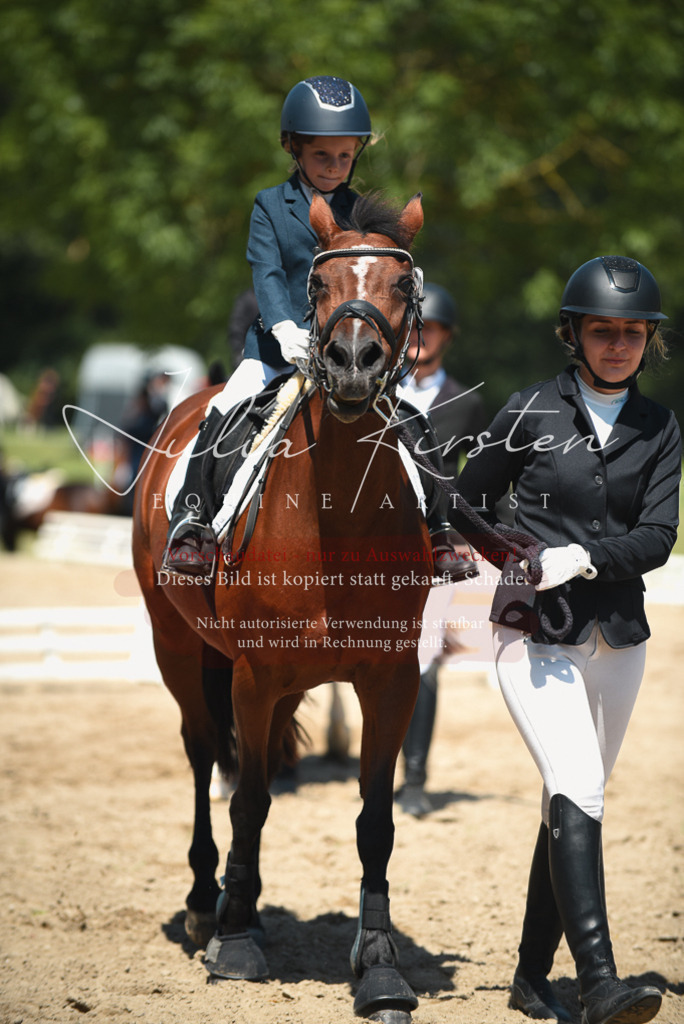 DSC_1995 | Pferde- und Turnierfotografie in Westsachsen. Pferdeportraits, Auftragszeichnungen und intuitive Kunst.