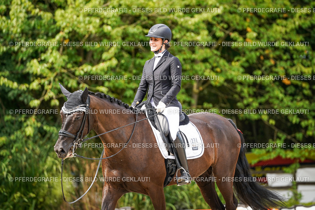 DSC06397 | Pferdegrafie