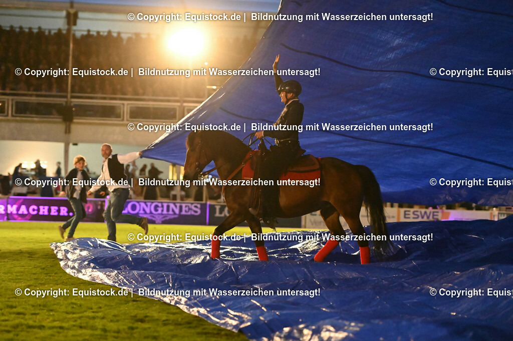 20230526_Pferdenacht_1065 | equistock